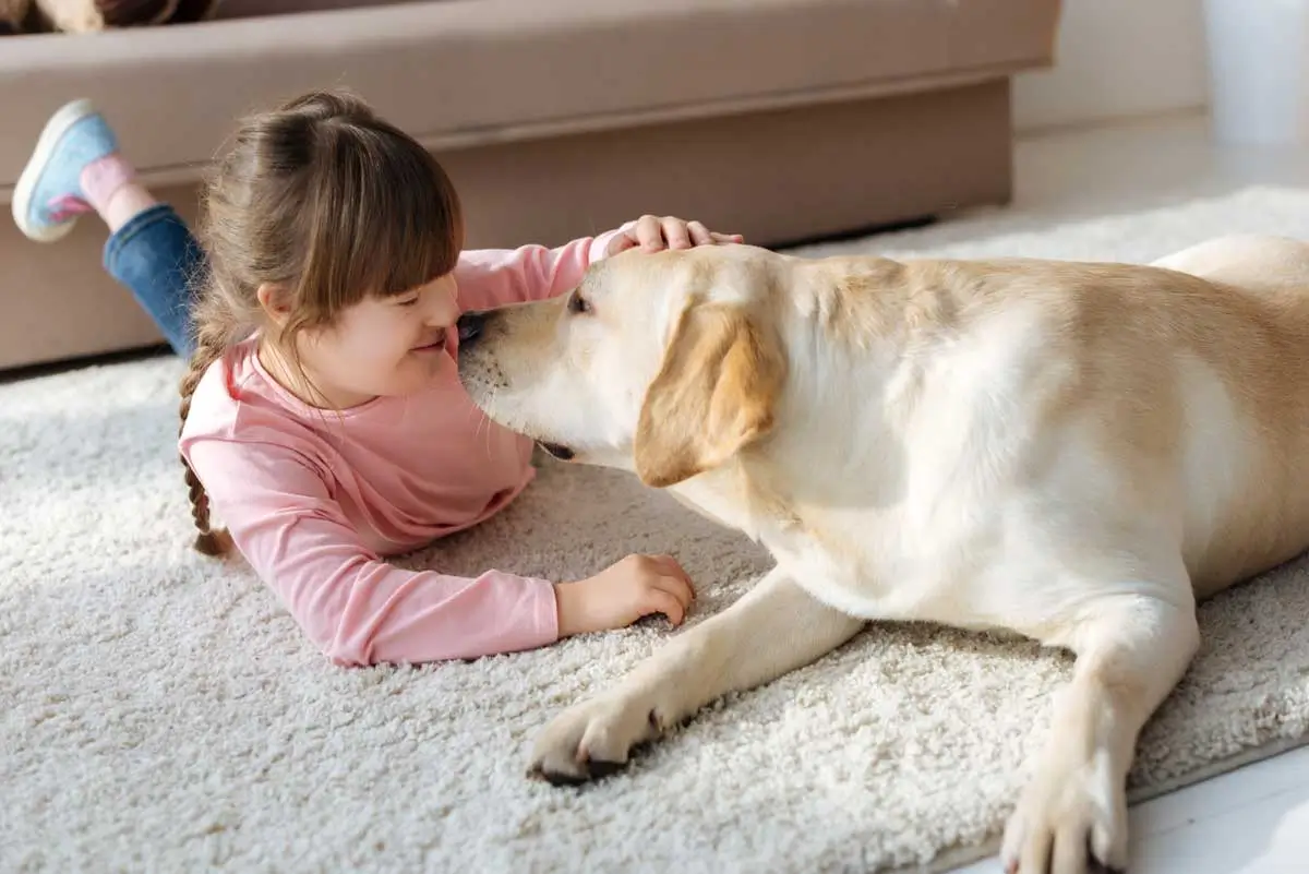 A happy child bonding with a pet dog on a clean living room carpet floor at home.