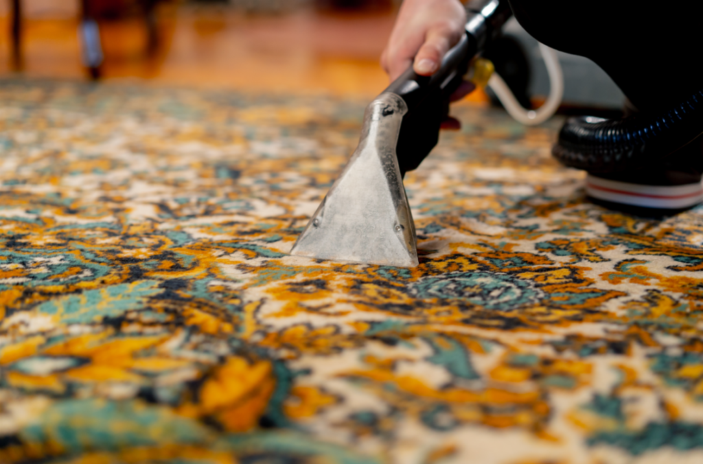 Close-up of a person cleaning a colorful patterned carpet with a steam cleaner, illustrating the concept of carpet Cleaning vs. Replacement
