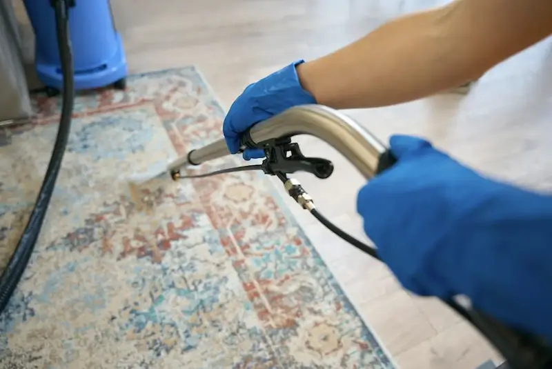 Professionals at work with their area rug cleaning chicago project