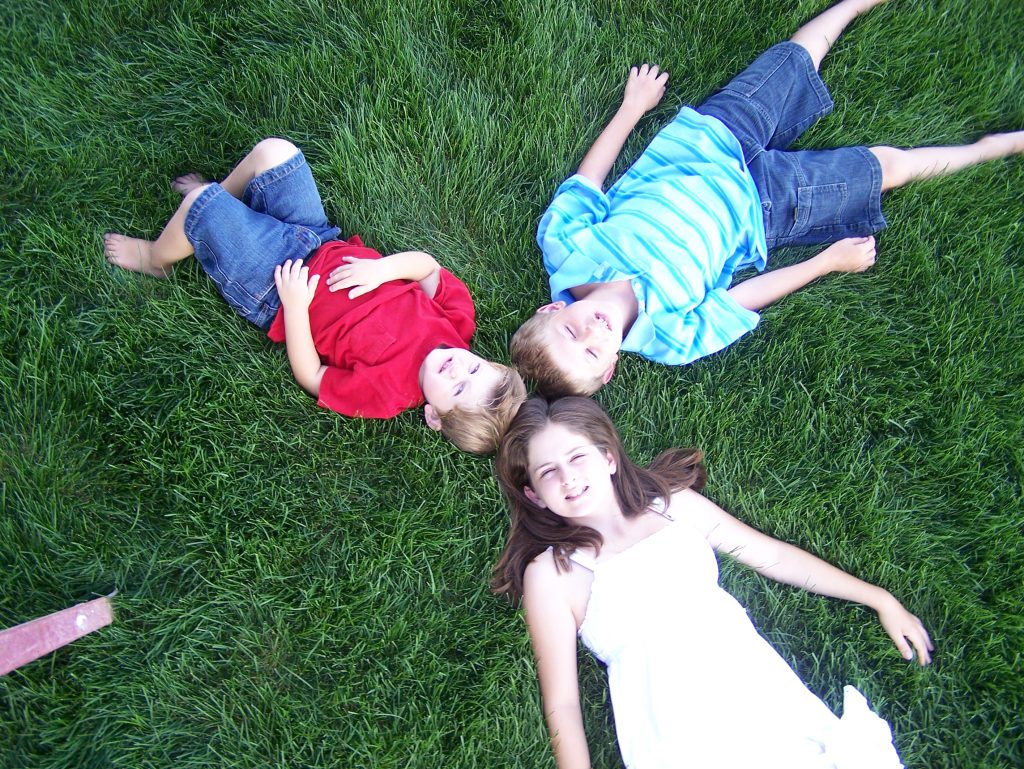 Green T Carpet and Air Duct Cleaning Aurora IL