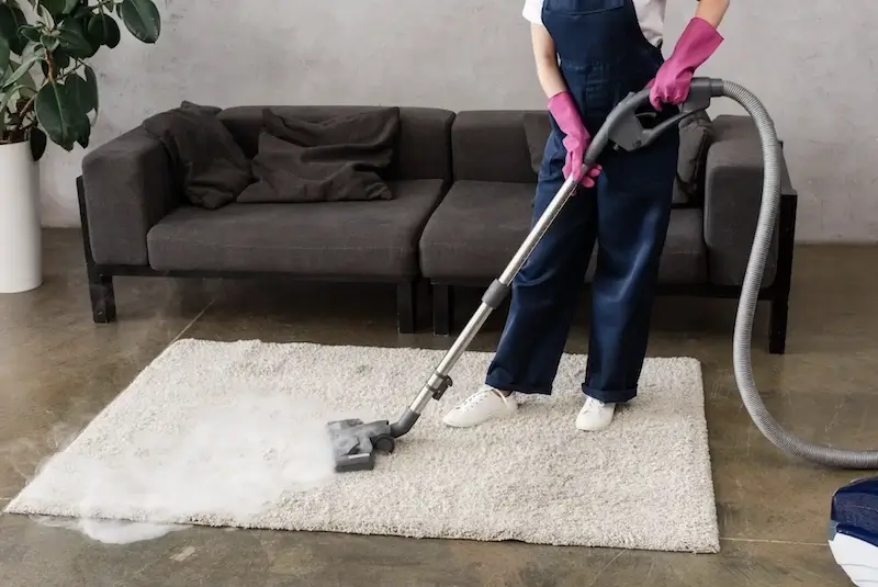 Expert showing how Area Rug Cleaning Chicago is supposed to be done